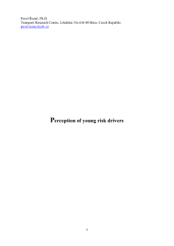 Perceiving of young risk drivers