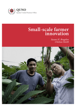 Small-scale farmer innovation