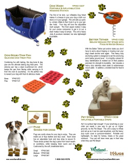 Pugz Shoes for dogs Better Tether Dog Wash Dog