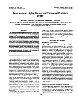 An Abundant, Highly Conserved Tonoplast Protein in Seeds1