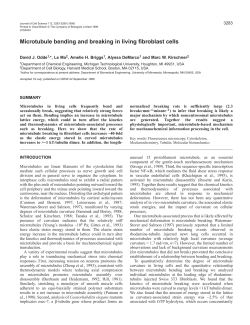 Microtubule bending and breaking - Journal of Cell Science