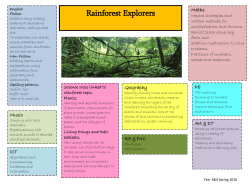 Rainforest Explorers