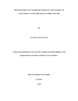 Chavwanga V - Welcome to the University of Zambia