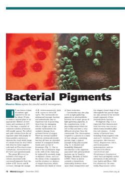 Bacterial Pigments