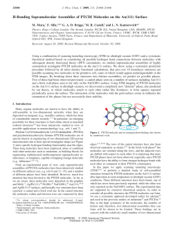 H-Bonding Supramolecular Assemblies of PTCDI Molecules on the