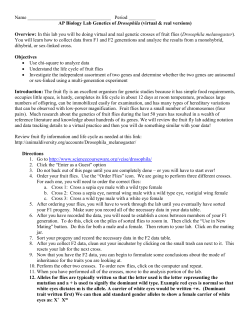 AP Biology Lab 7: Genetics of Drosophila (virtual version)