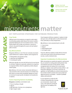 Soybeans Micronutrient Guide