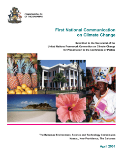 Bahamas First National Communication