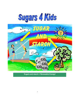 Sugars4kids - Medbio.info