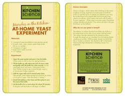 at-home yeast experiment