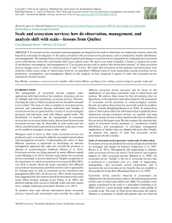 Scale and ecosystem services: how do