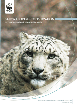 Snow leopard conservation in Uttarakhand and - WWF