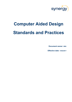 Computer Aided Design Standards and Practices