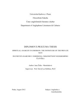 diplomov&aacute; pr&aacute;ce/ma thesis