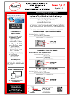 Issue Q3.15 - Clamps, Inc.