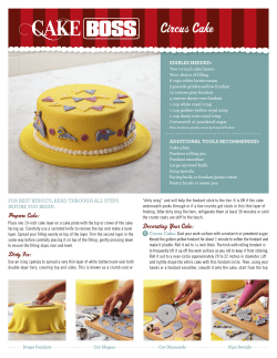 CB4166 Circus Cake_printsize