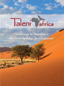 Taleni Africa`s Unique Selling Points