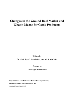 Changes in the Ground Beef Market and What it