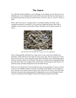 The Cowrie