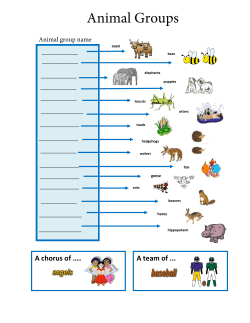Collective Nouns for Groups