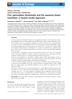 Fire, percolation thresholds and the savanna forest transition