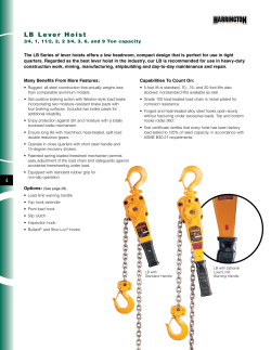 lb lever Hoist - Hoists Direct