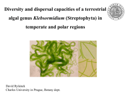 Prezentace aplikace PowerPoint