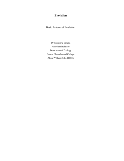 Basic Patterns of Evolution