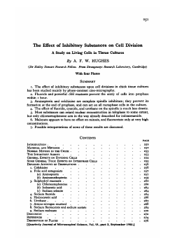 The Effect of Inhibitory Substances on Cell Division