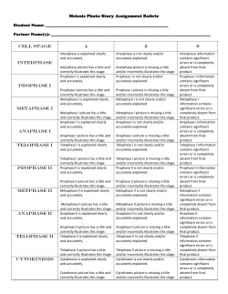 Meiosis Photo Story Assignment Rubric