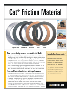 Cat Friction Material