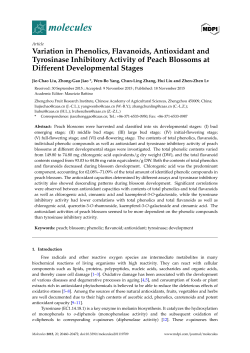 Full-Text PDF
