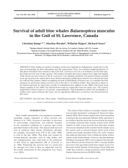 Survival of adult blue whales Balaenoptera musculus in the Gulf of