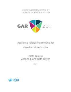 Insurance-related instruments for disaster risk