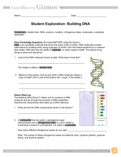 Student Exploration: Building DNA