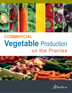 Commercial Vegetable Production on the Prairies