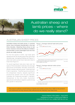 Real sheep prices