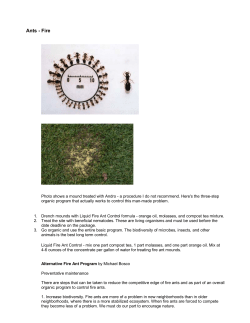 Ants - Fire - Elizabeth Anna`s Old World Garden