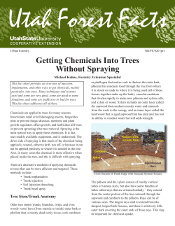 Getting Chemicals into Trees without Spraying - USU Forestry