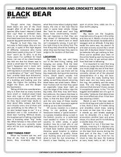 to a PDF of the Bear Field Judging Tips