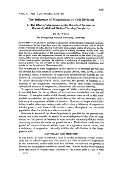 The Influence of Magnesium on Cell Division