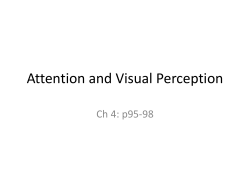 Attention and Visual Perception
