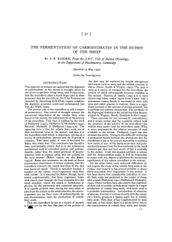 the fermentation of carbohydrates in the rumen of the sheep