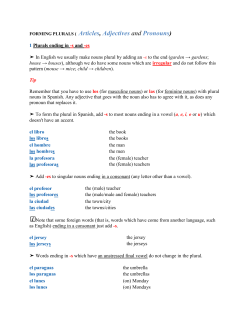 FORMING PLURALS ( Articles, Adjectives and Pronouns)