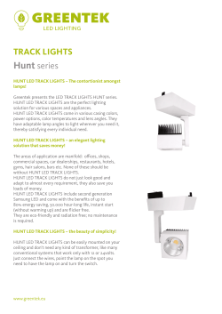 TRACK LIGHTS Hunt series