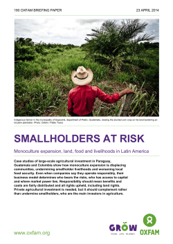 Smallholders at Risk: Monoculture expansion, land, food and