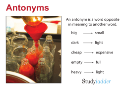 Antonyms whiteboard