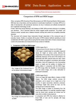 Comparison of SPM and SEM Images