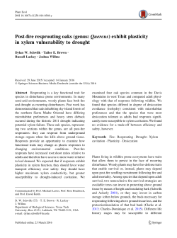 Post-fire resprouting oaks (genus:Quercus) exhibit plasticity in xylem
