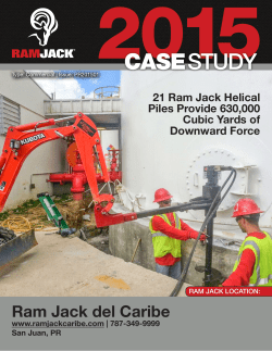 the full case study in pdf format